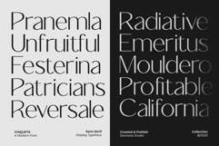 Chiqueta Product Image 14