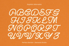 Perfect Barista Product Image 14