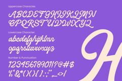 Holistical Product Image 16