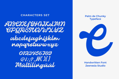 Palm de Chunky Product Image 16