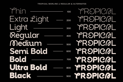 Tropical Morline Product Image 3