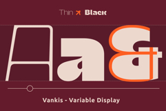 Vankis Product Image 3