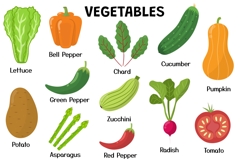Fruits and Vegetables Collection Product Image 5