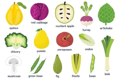 Fruits and Vegetables Collection Product Image 6