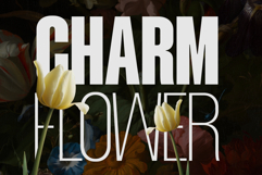 Mavine Product Image 6