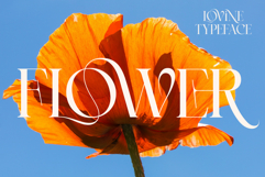 Lovine Product Image 6