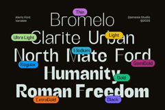 Alerio Variable Font Product Image 6