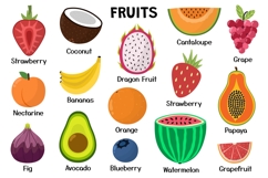 Fruits and Vegetables Collection Product Image 7