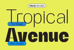 Alerio Variable Font Product Image 9