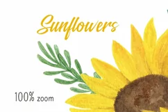 Sunflower sublimation watercolor bouquet, PNG clipart Product Image 2