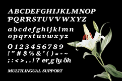 Pagoh Cluser Elegant Italic Serif Font Product Image 8