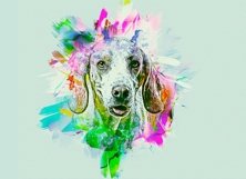 Paint Photoshop Action Product Image 3