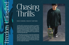 Painting Elegance - Tall Serif Display Font Product Image 2