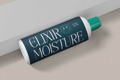 Painting Elegance - Tall Serif Display Font Product Image 10