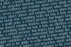 Painting Elegance - Tall Serif Display Font Product Image 12