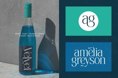 Painting Elegance - Tall Serif Display Font Product Image 13