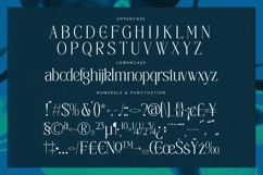 Painting Elegance - Tall Serif Display Font Product Image 18