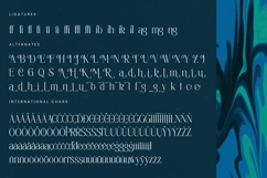 Painting Elegance - Tall Serif Display Font Product Image 19