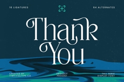 Painting Elegance - Tall Serif Display Font Product Image 20