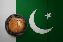Backgrounds for Photography & Marketing. Pakistan Product Image 7