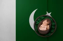 Backgrounds for Photography & Marketing. Pakistan Product Image 4