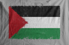 Palestine Flag with Distressed Product Image 2