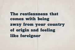 Palice Bordlin Vintage Bold Display Serif Font Product Image 4