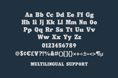 Palice Bordlin Vintage Bold Display Serif Font Product Image 6