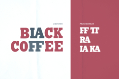 Palice Bordlin Vintage Bold Display Serif Font Product Image 7
