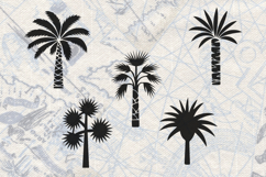 Palm Trees Collection SVG Product Image 1