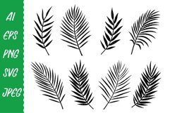 Tropical palm leaves, branches silhouettes. Svg, Vector, Png Product Image 1