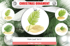 Ornament Palm Leaf Product Image 1