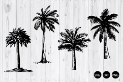 Palm Tree SVG, Tropical Palm Silhouettes, Beach Tree SVG Product Image 1
