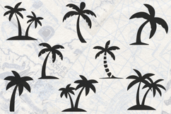 Palm Trees Collection SVG Product Image 1