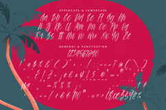 Palm Vibes - Modern Handwritten Font Product Image 18