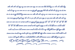 Palmeria Rooted - Bold Calligraphy Font Product Image 13