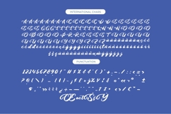 Palmeria Rooted - Bold Calligraphy Font Product Image 14