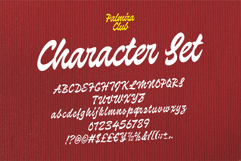 Palmira Club A Playful Retro Display Script Product Image 10