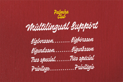Palmira Club A Playful Retro Display Script Product Image 11