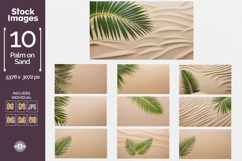 Palm Leaves in the Sand Product Image 1