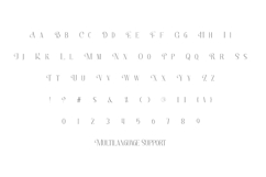 Pamela Beauty Font Product Image 5