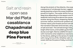 Pampero | Classic Modern Essential Sans 7 weights Product Image 2