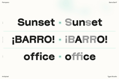 Pampero | Classic Modern Essential Sans 7 weights Product Image 10
