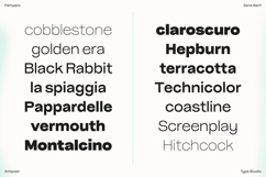 Pampero | Classic Modern Essential Sans 7 weights Product Image 5
