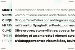 Pampero | Classic Modern Essential Sans 7 weights Product Image 7