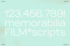 Pampero | Classic Modern Essential Sans 7 weights Product Image 14