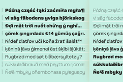 Pampero | Classic Modern Essential Sans 7 weights Product Image 9