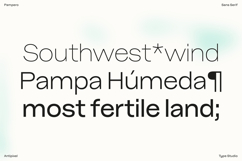 Pampero | Classic Modern Essential Sans 7 weights Product Image 11