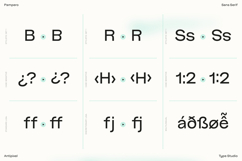 Pampero | Classic Modern Essential Sans 7 weights Product Image 12