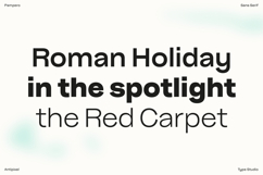 Pampero | Classic Modern Essential Sans 7 weights Product Image 13